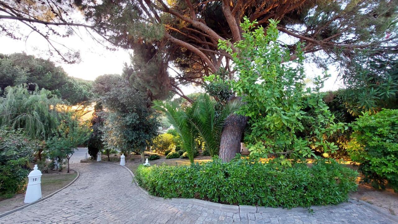 Casa Jolie Villa Vale do Lobo Eksteriør billede